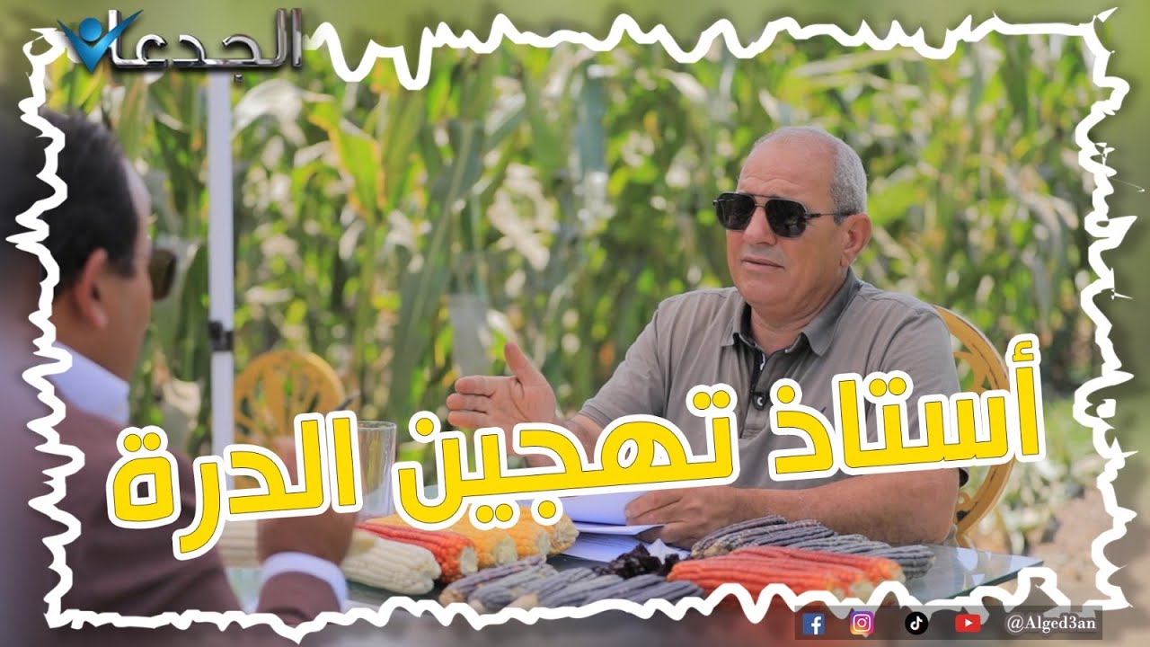 الدكتور ماجد حمودة.. هيوفر لمصر ١٠٠ مليارجنيه ..و يمتلك أسرار الـ f16 و الياقوت 5