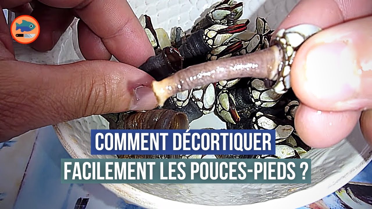 Comment d&eacute;cortiquer les pouces-pieds facilement ?
