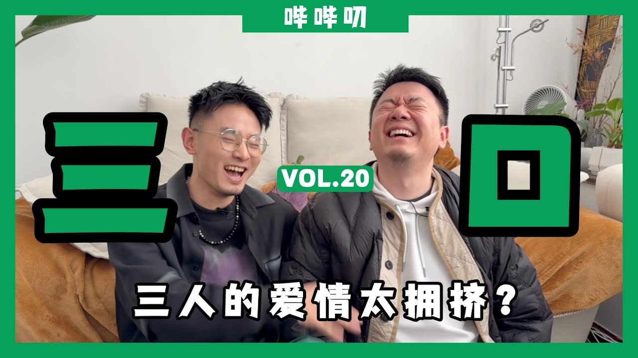 三口之家真的靠谱吗？稳定的三角关系真的存在吗？踏入三口之前你需要知道的所有事情，全网最全三口正经严肃科普视频