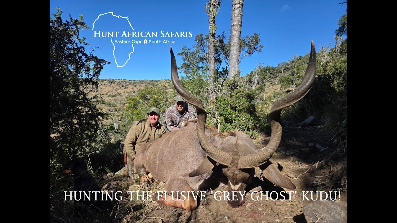 Hunting the 'Grey Ghost' Kudu, Eastern Cape of South Africa - Hunt African Safaris