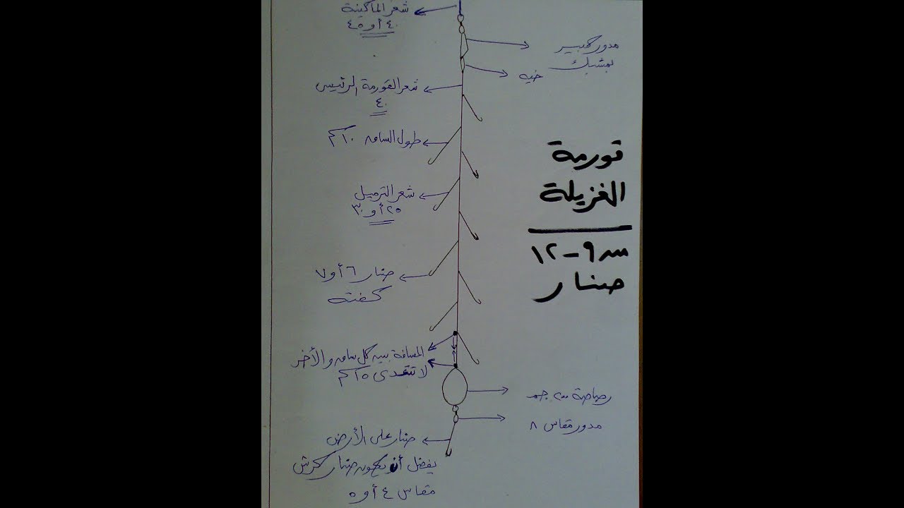 طريقة عمل قورمة التسقيط