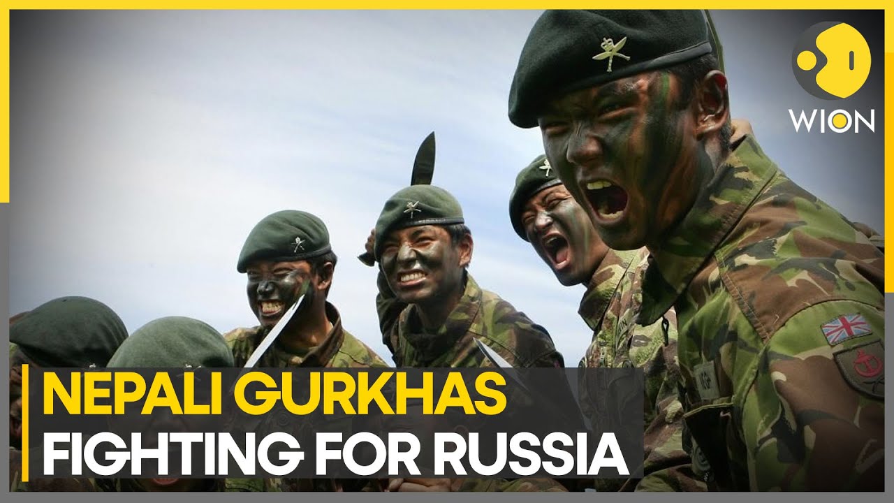Role of Nepali Gurkhas in Russia-Ukraine war | WION Pulse