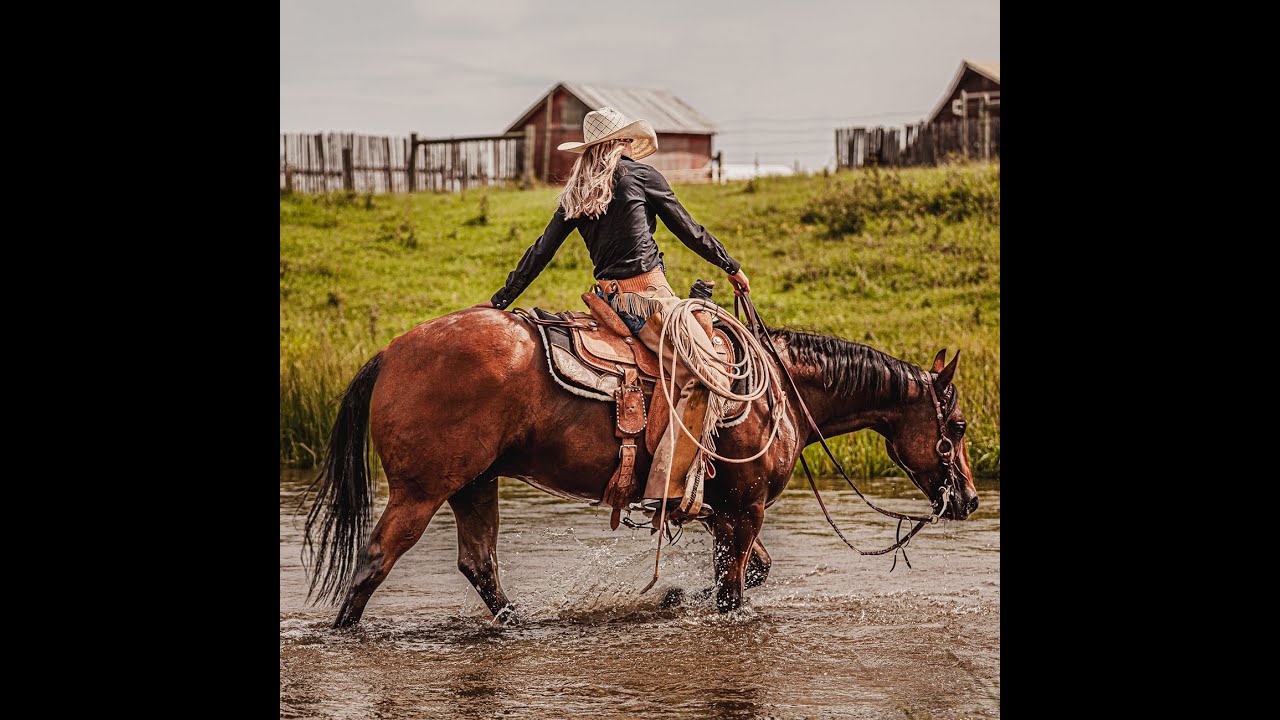 Bentley VIDEO  2020 AQHA Gelding- NRHA LTE- Cowgirl Cadillac 2026 #dreamhorse #cowgirlcadillac