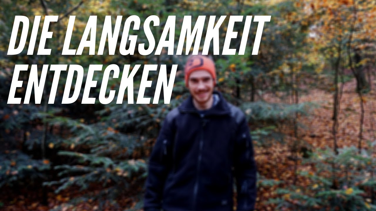 MyWoid - die Langsamkeit beim Waldbaden entdecken