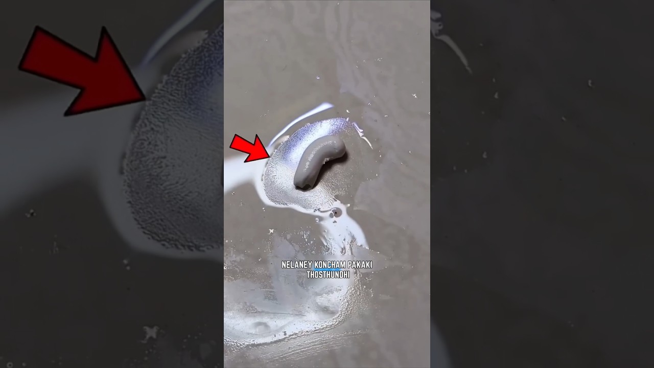 I Made Toothpaste Rocket Ship 🚀😱 #shorts #telugushorts #shortvideo #rocketship #shortsfeed