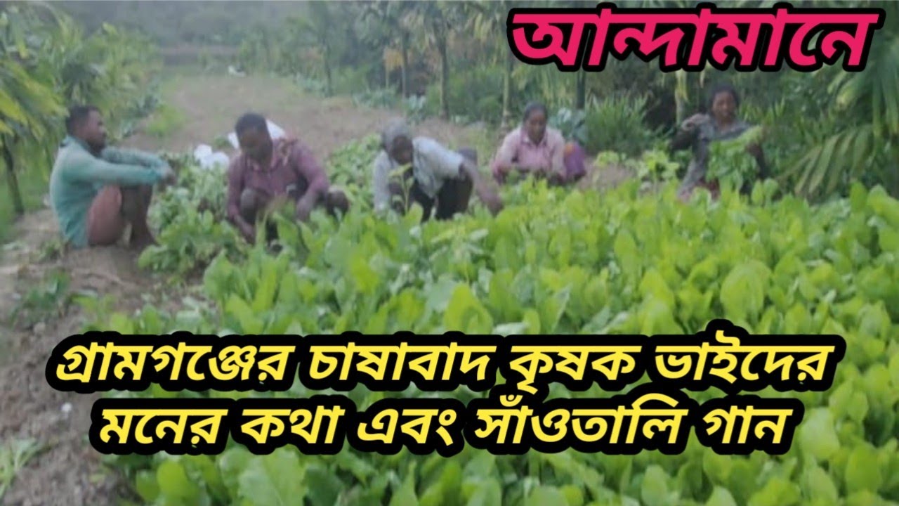 আন্দামানে গ্রাম গঞ্জের চাষাবাদ, কৃষক ভাইদের মনের কথা এবং সাঁওতালি গান#andaman #viralvideo  #village 