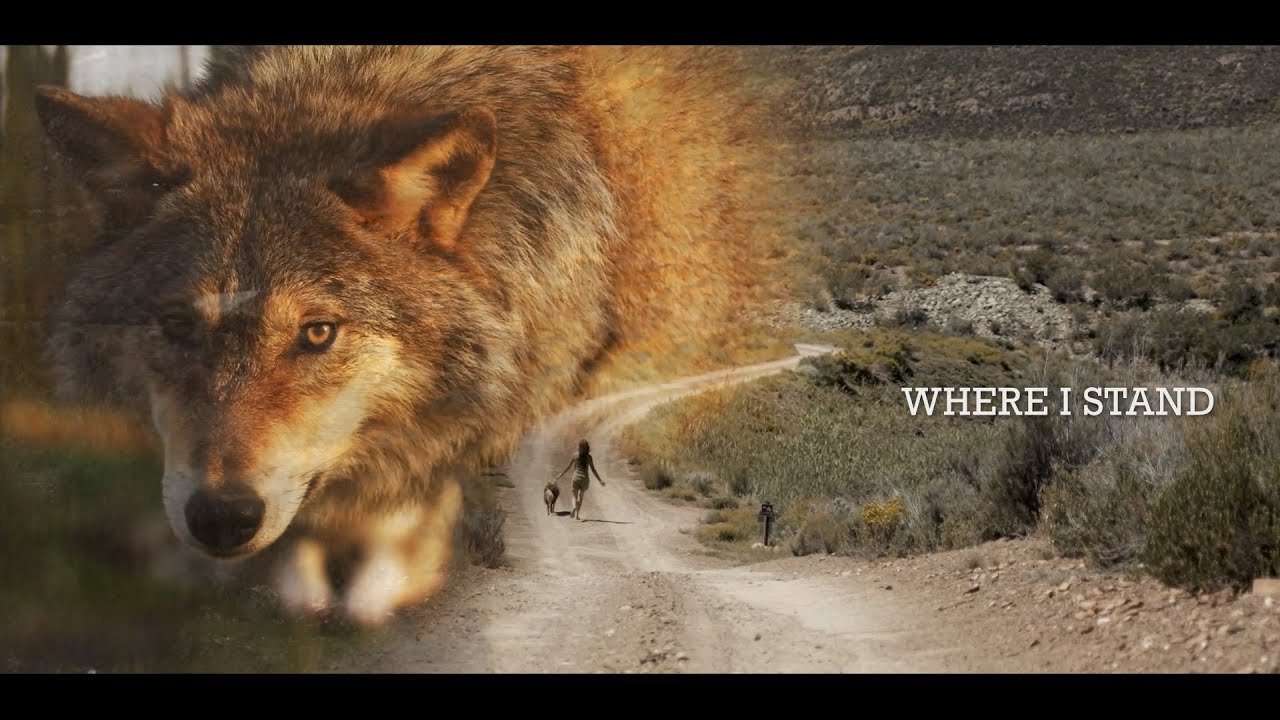 Tyler Wood - Where I Stand (Official Lyric Video)