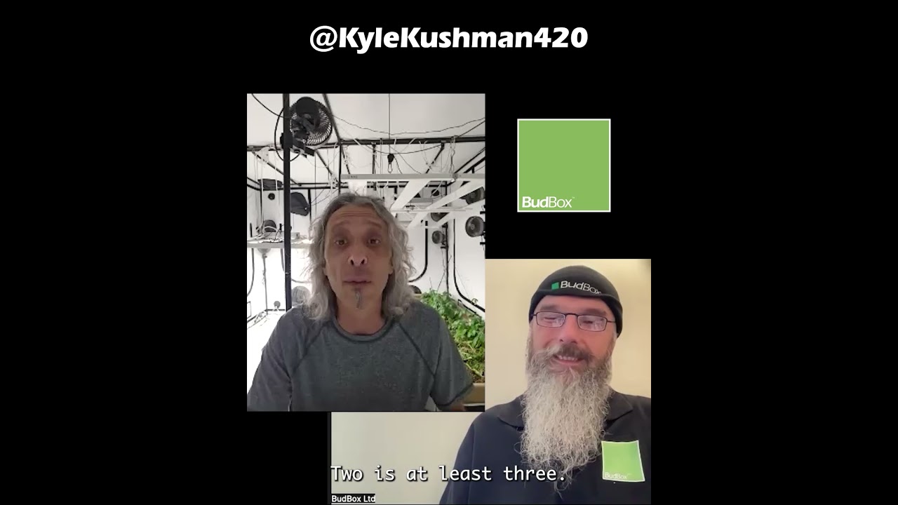 BudBox and Kyle Kushman