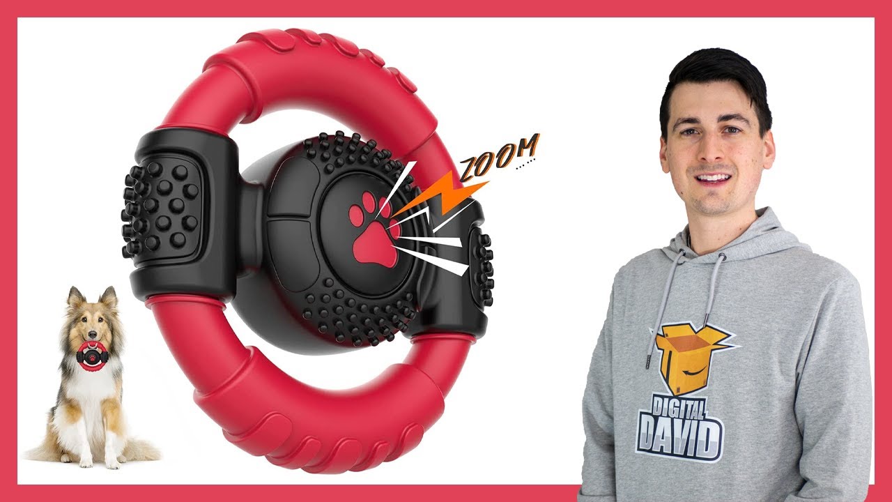 Nzonpet Durable Dog Chew Toy First Impressions ft Doug The Dog
