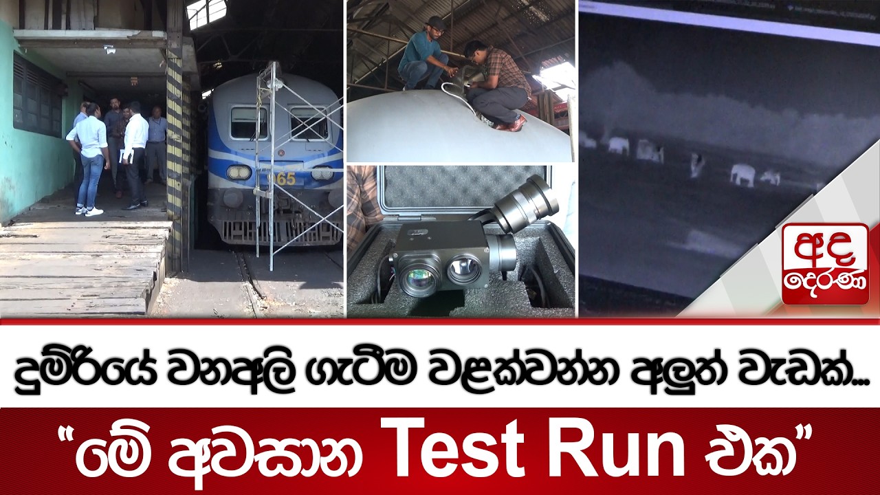 දුම්රියේ වනඅලි ගැටීම වළක්වන්න අලුත් වැඩක්...