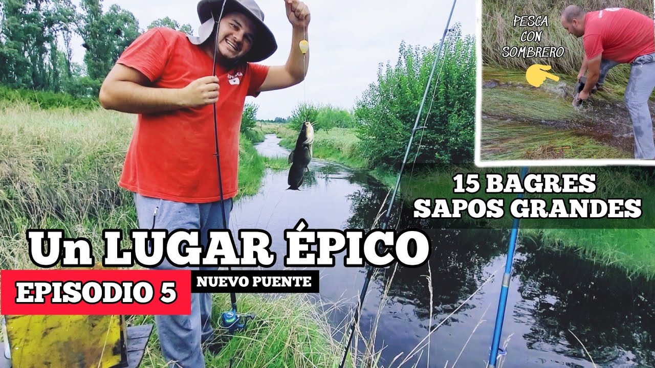 Pesca y Cocina en Lugar gratis / arroyo totoral, san miguel del monte, Bagres sapos fritos, MJ-PESCA