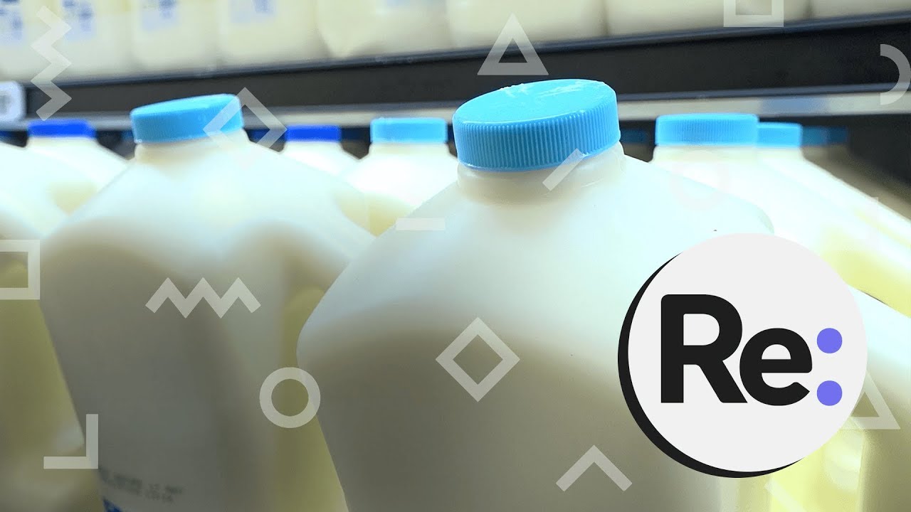 Why is it so hard to buy milk in glass bottles ?