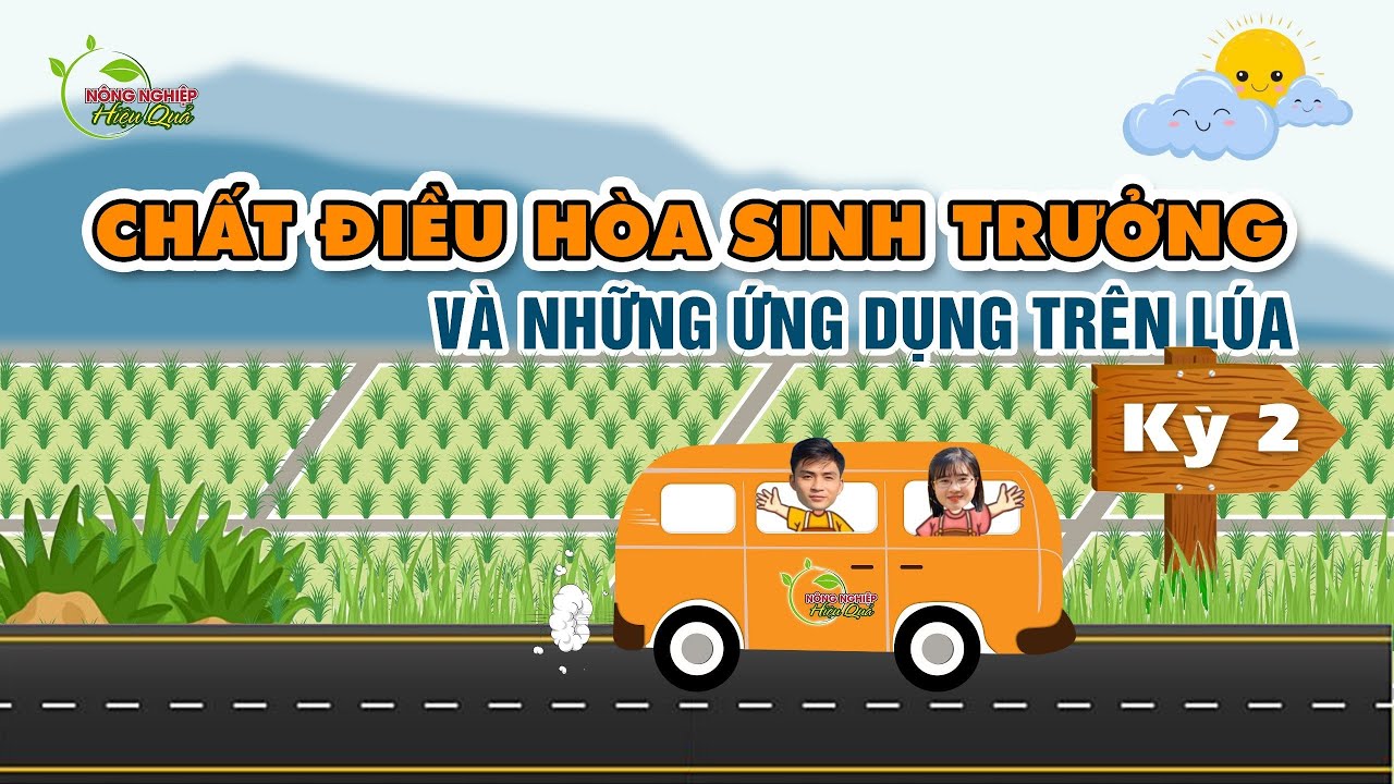 CHẤT ĐIỀU HÒA SINH TRƯỞNG VÀ NHỮNG ỨNG DỤNG TRÊN LÚA / Chuyến xe canh tác kỳ 2 #nongnghiephieuqua