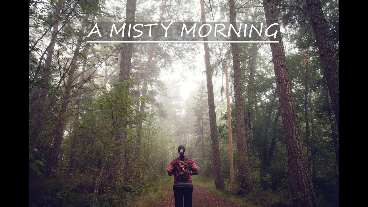 Living Alone in Finland | Misty Morning Walk & A Cozy Slow Day