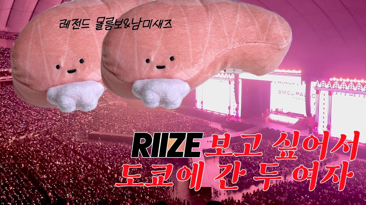 [브리즈 브이로그] 라이즈보러 도쿄로 날아간 브이로그 │ 생애 첫 슴콘 일본에서 사기당함ㅎ 일본앨범 앨범깡