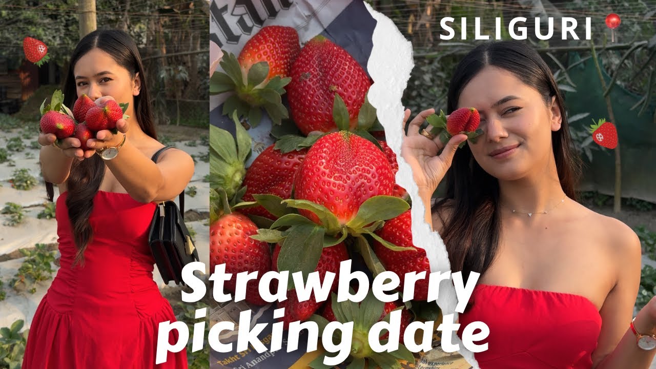 STRAWBERRY PICKING Date🍓❤️| shopping for new home! Ana Tamang 