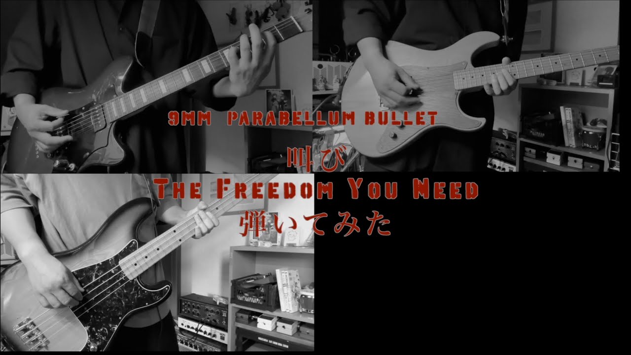叫び  - The Freedom You Need - /9mm Parabellum Bullet ［弾いてみた］