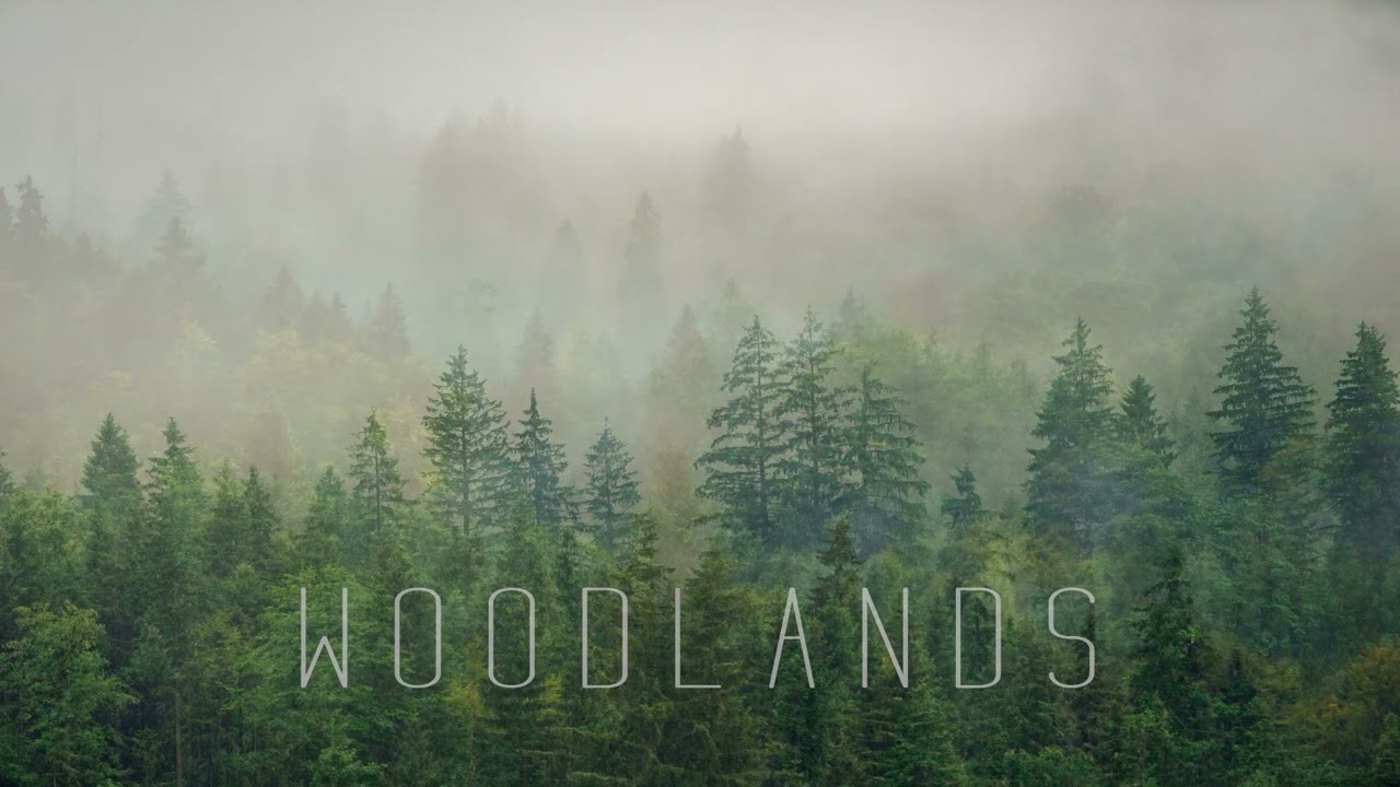 Poolz - Woodlands ◅Chillstep▻ [Pretend Penguin 10 Years & Counting Free Compilation]