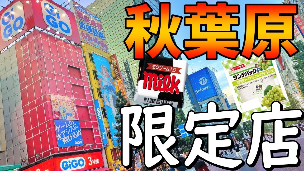 秋葉原にしかないお店を巡ります！【ゆっくりボイス】