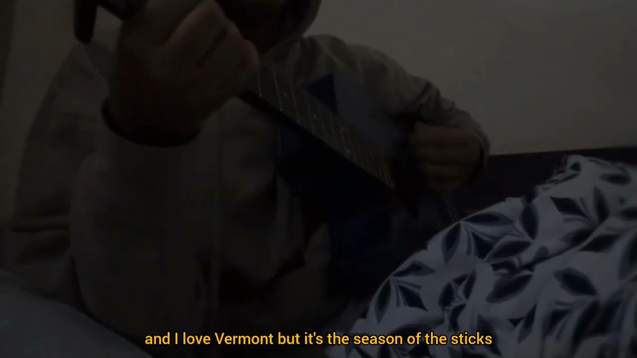 Stick season - Noah kahan (cover)