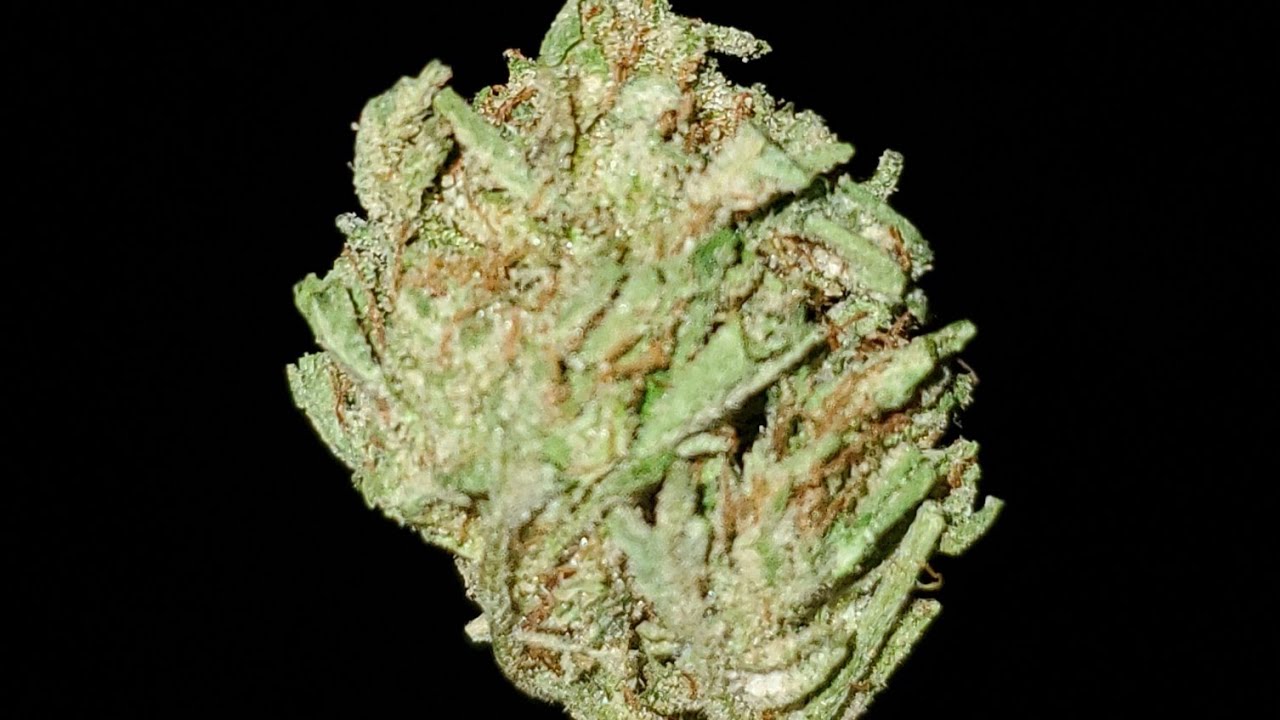 PARIS OG STRAIN WAKE AND BAKE STYLE