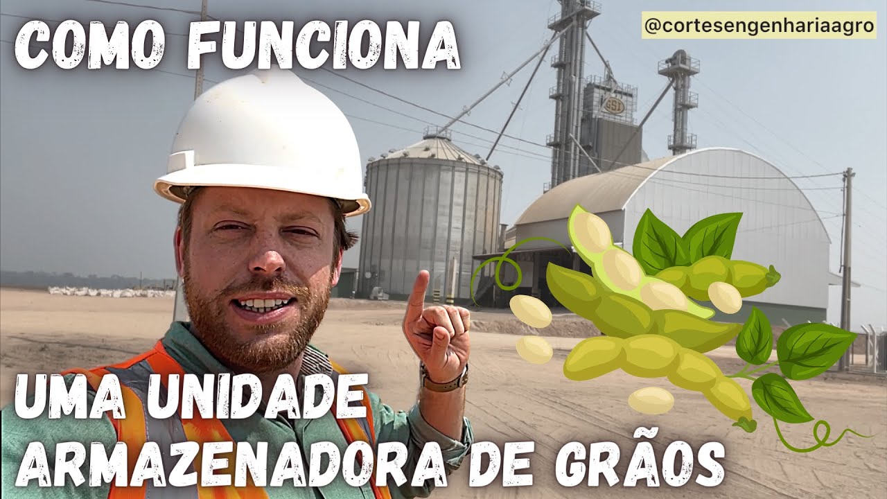 Como funciona uma unidade armazenadora de grãos