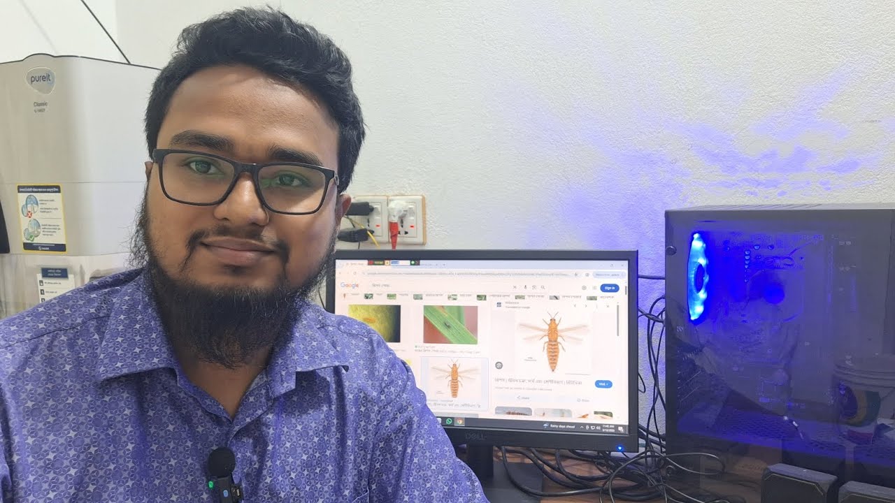 শসার থ্রিপস পোকা দমন হয় না কেন?