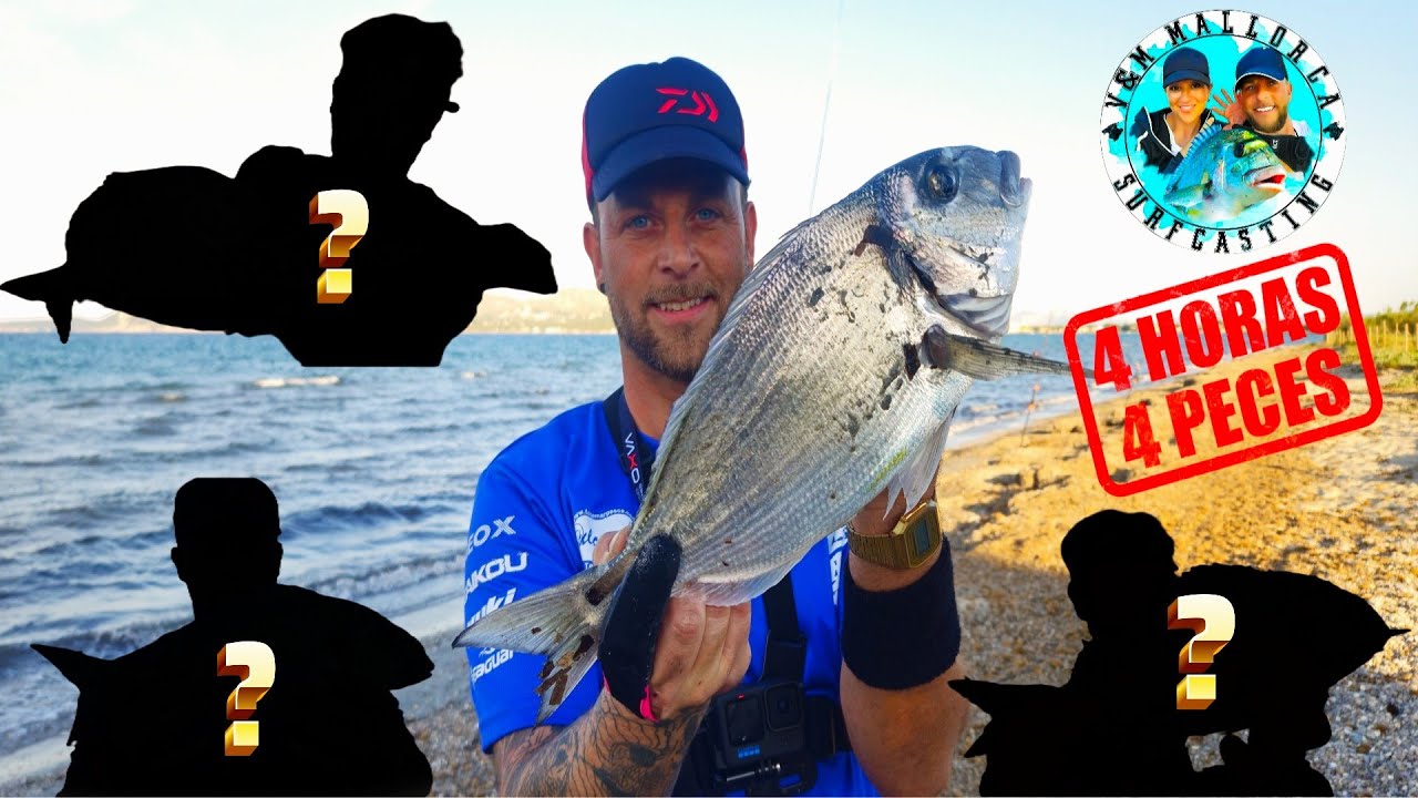 🔥🐟A POR DORADAS PESCA PRODUCTIVA? 4H...🐟🔥SURFCASTING🎣PURO💪EN MALLORCA🏝️