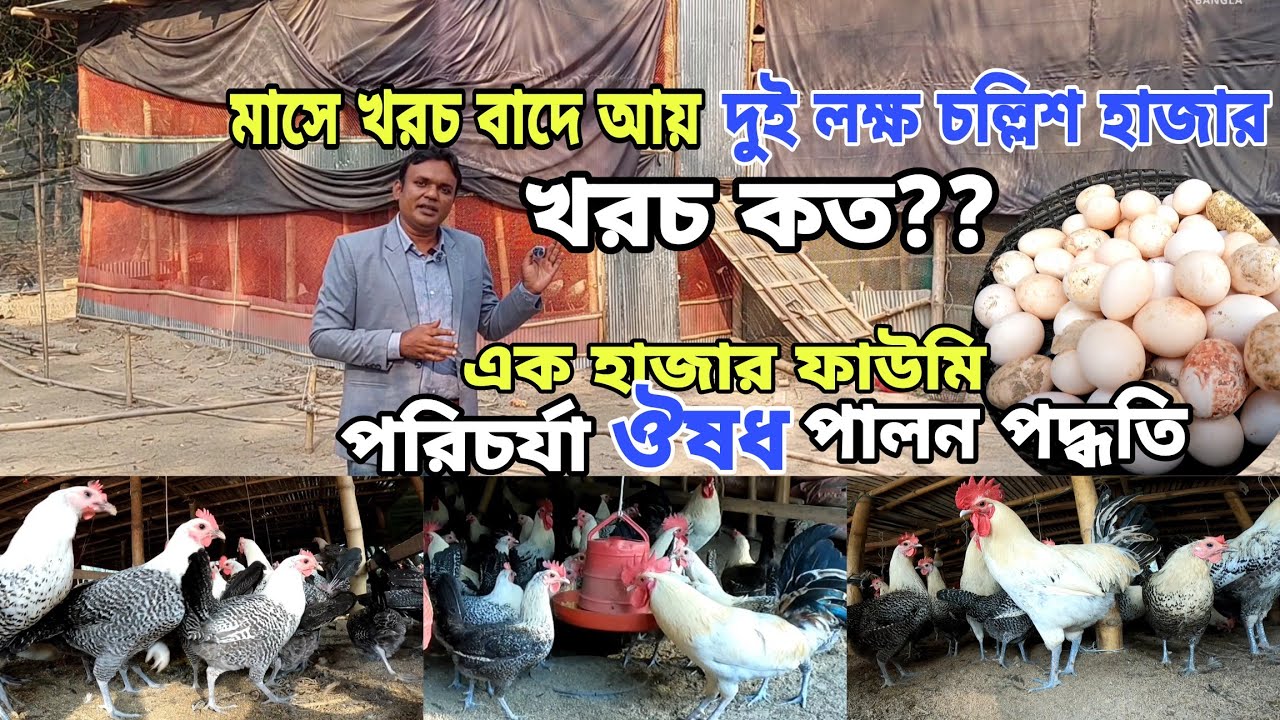 তরুন উদ্যোক্তার ১০০০ ফাউমি মুরগির খামার | আয় ব্যায় | পালন পদ্ধতি ও পরিচর্যা দেখুন |Agro Dream Bangla