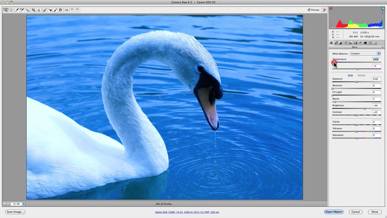Correct White Balance Within Camera Raw