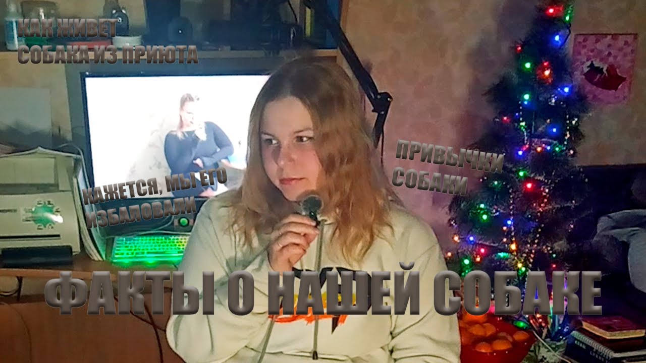 Привычки собаки из приюта