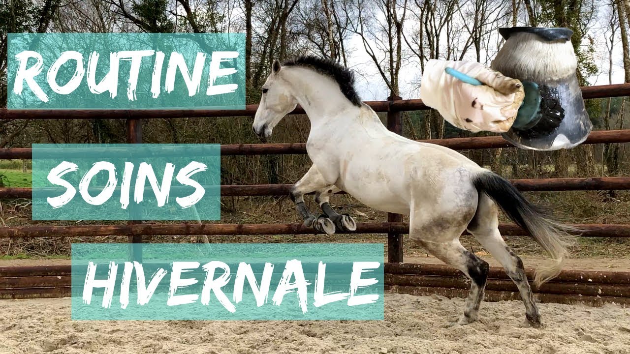 Routine | Les soins d'Uriage en hiver ❄️