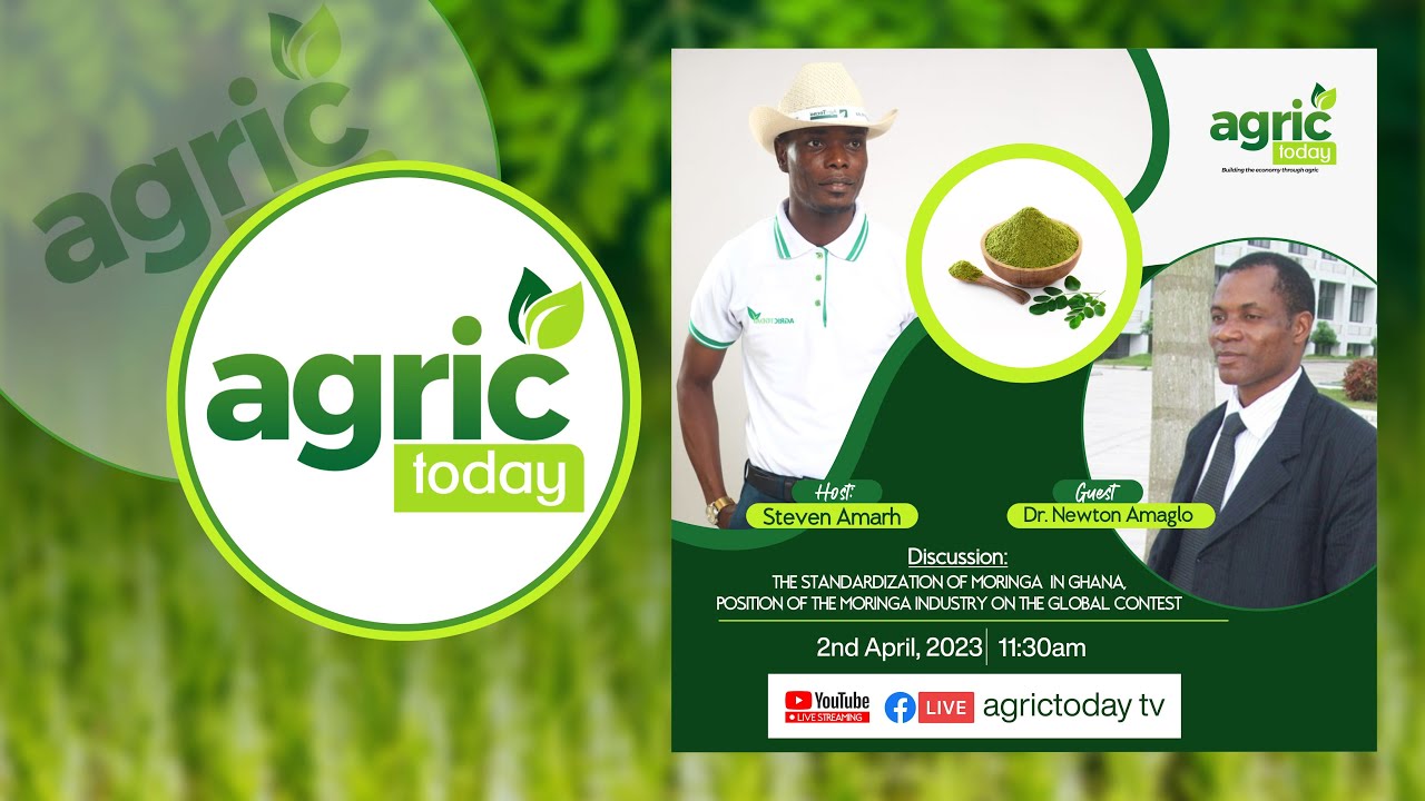 How Ghana can generate USD$600m from Moringa