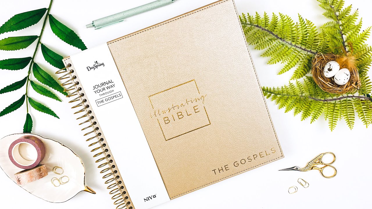 NEW Illustrating Bible | The Gospels