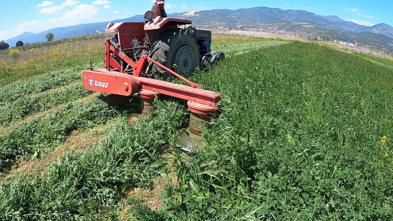 Yonca Biçimi Massey 255 + Tınaz yonca biçme [GoPro]