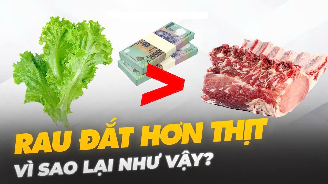 VÌ SAO RAU ĐẮT HƠN THỊT?