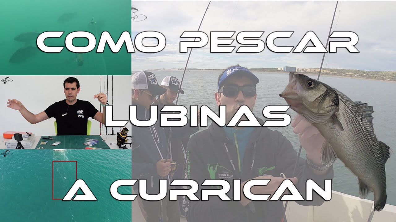 Como Pescar Lubinas a Currican