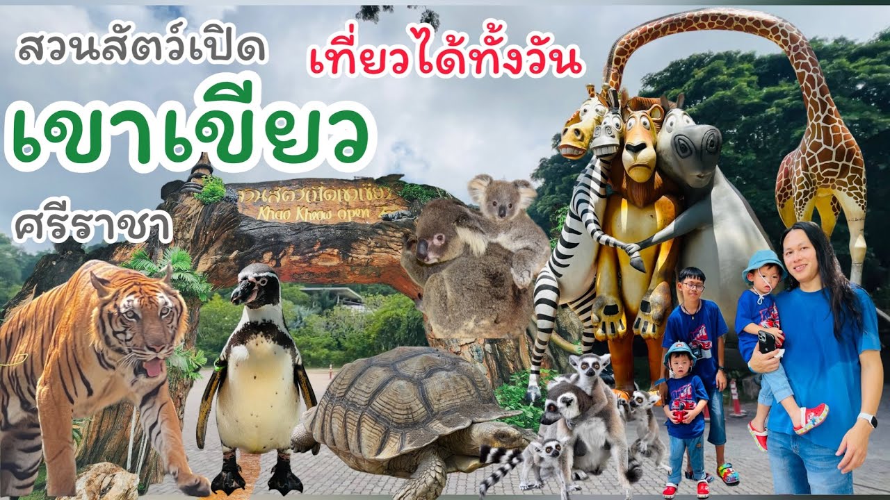🦭🦒สวนสัตว์เปิดเขาเขียว🌳 เที่ยวได้ทั้งวัน 🦓🦧#สวนสัตว์เขาเขียว #ศรีราชา #ชลบุรี #zoo #sriracha