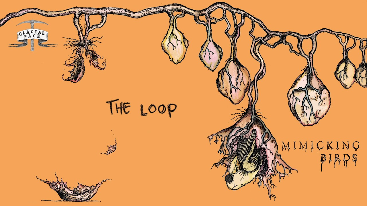 Mimicking Birds - The Loop (Official Audio)