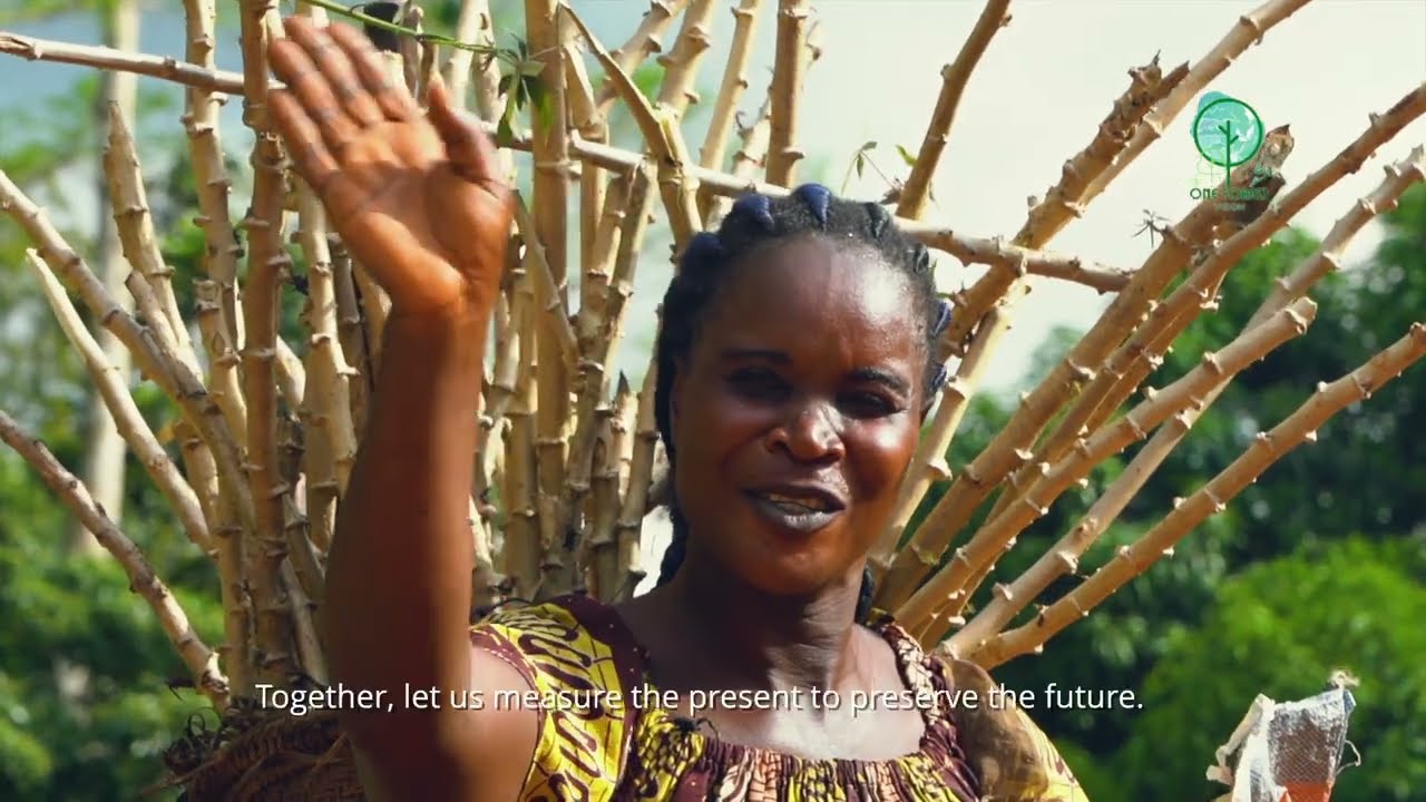 One Forest Vision – Explorer, comprendre, préserver les forêts du Bassin du Congo