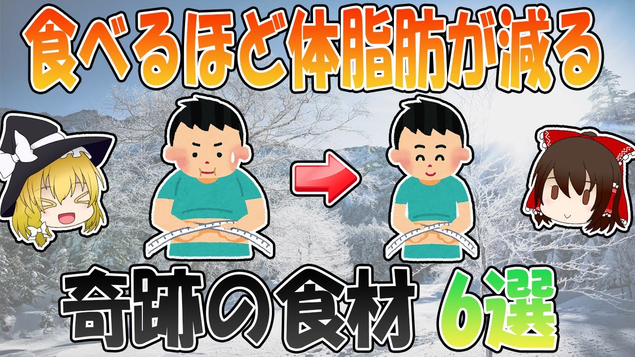 食べるほど体脂肪が減る！奇跡の食材6選【ゆっくり解説】
