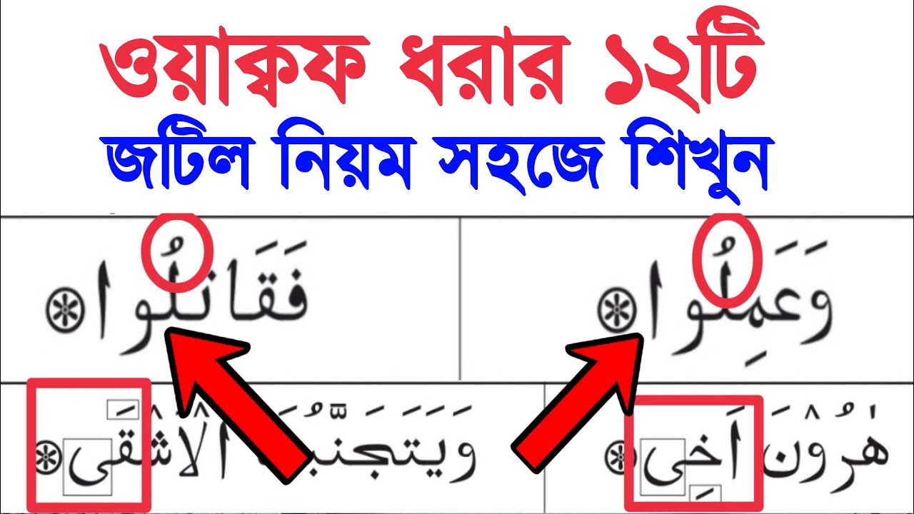 ওয়াক্বফ ধরার ১২টি নিয়ম শিখুন | কুরআন মাজিদে আয়াতের শেষে ১২টি থামার নিয়ম শিখুন