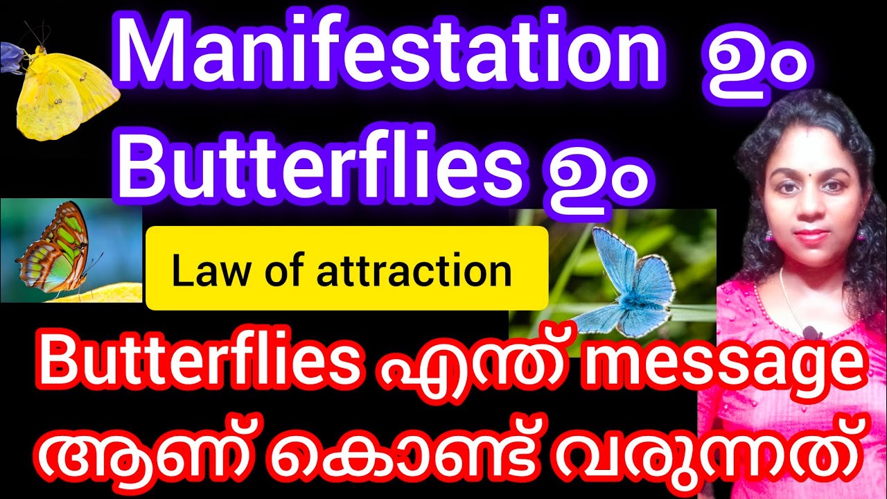 Meaning and guidance of butterflies/law of attraction/manifestation #malayalam