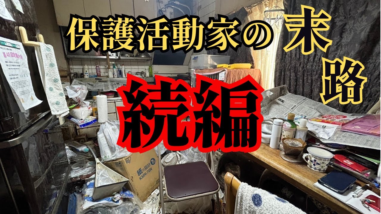 【前回の続編になります】12匹の猫の保護に入りましたが、家庭内野良と言われる猫達を全頭保護できるのか・・・？！