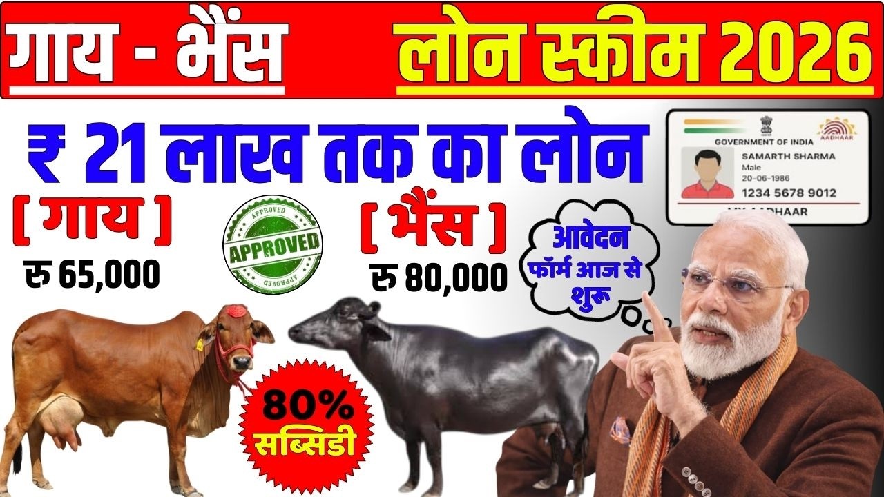 पशुपालन लोन योजना 2026 | गाय भैंस लोन कैसे लें | Pashupalan Loan Kaise Le | Pashu Loan Kaise Milega