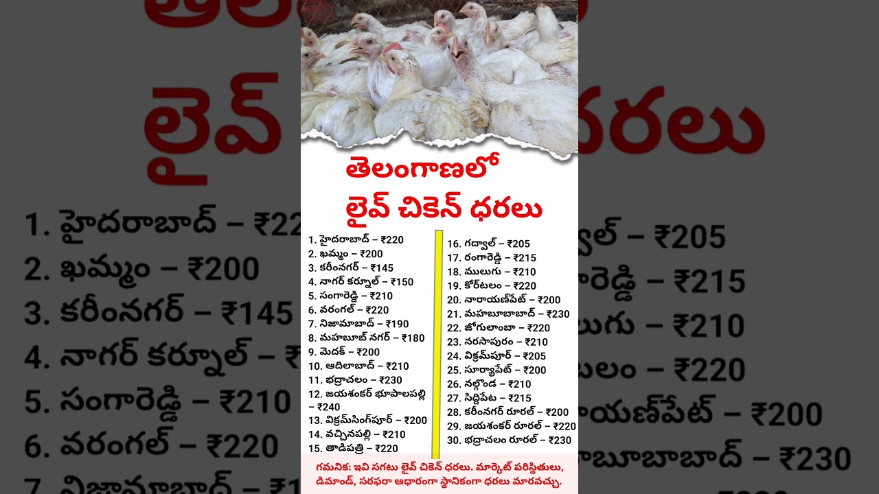 Telangana Live Chicken Rates 2025 | 30 Districts Today Prices | Hyderabad, Warangal & More#chicken
