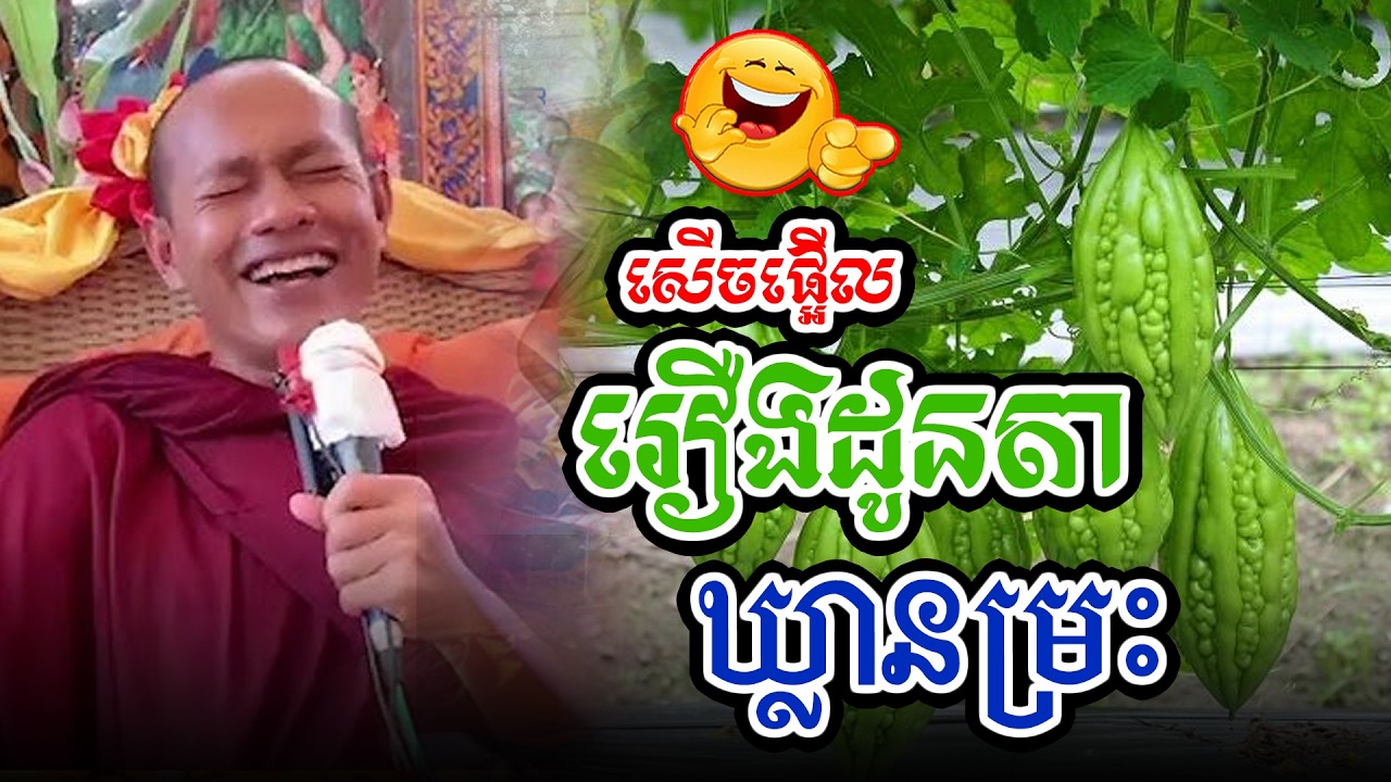 សើចផ្អើលរឿងដូនតាឃ្លានម្រះl​Dharma talk by​ long Chantha ឡុង ចន្ថា/Chhean Sombo Official