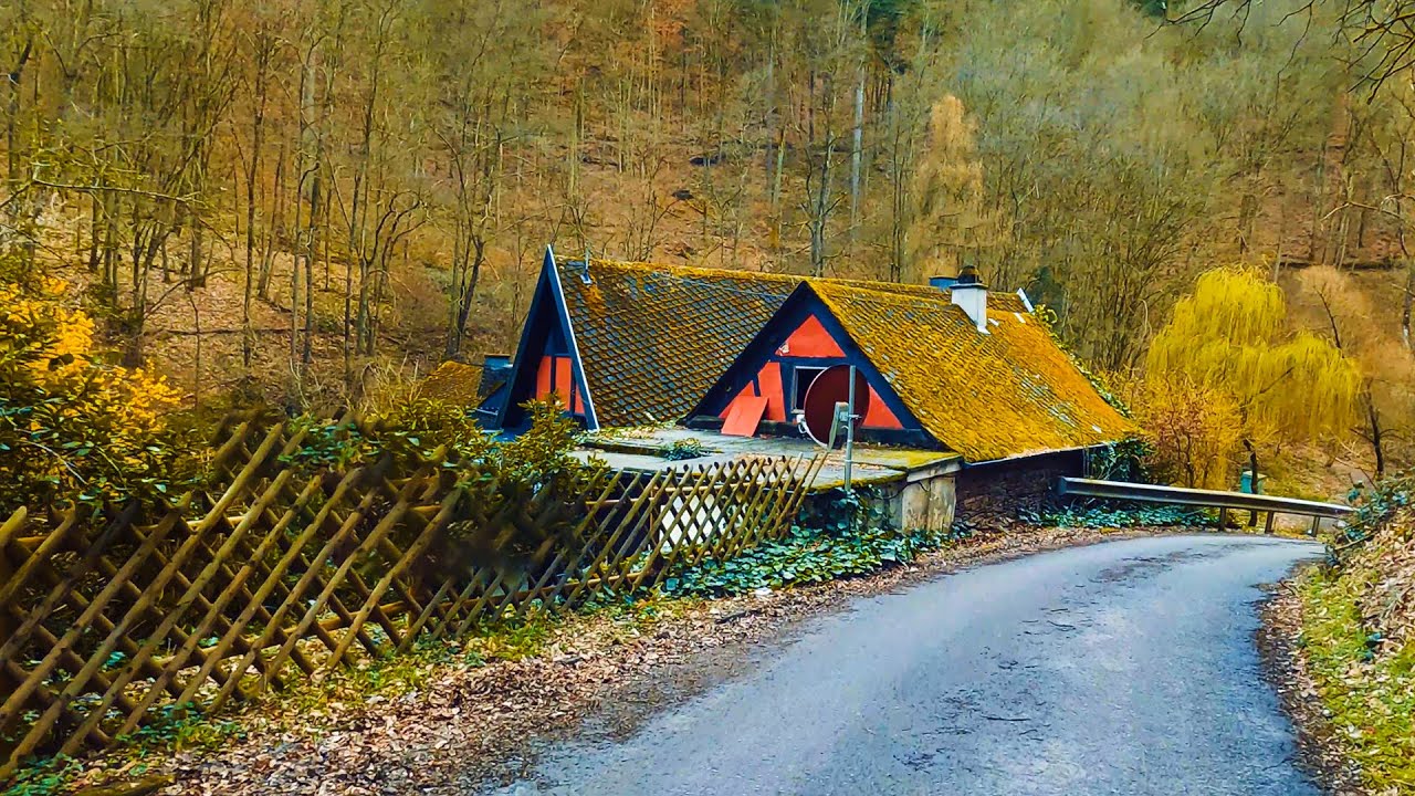 Waldspaziergang in das Baybachtal zur Schmausem&uuml;hle im Hunsr&uuml;ck