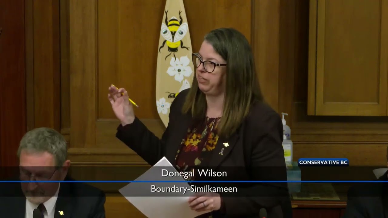 MLA Donegal Wilson Questions Minister on Okanagan Falls Incorporation Timeline