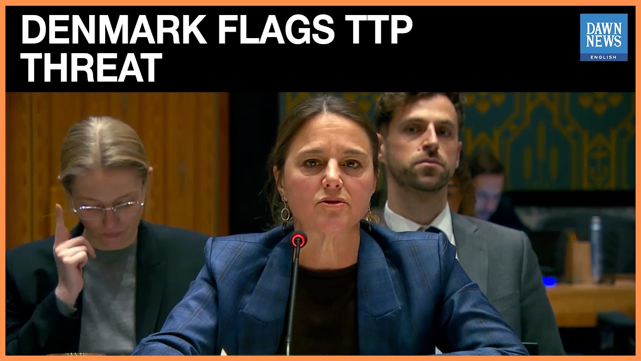 TTP poses &lsquo;serious threat&rsquo; in Central, South Asia, says Denmark at UN | Dawn News English